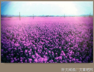 空梦名言大全