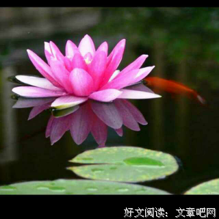 竺子的名言名句