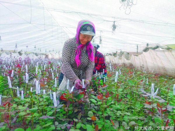 最全的阿城名言