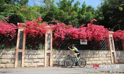 最全的青慕名言大全