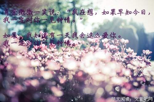 顾漫名言大全