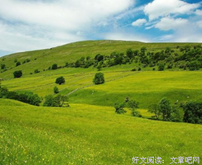 最经典的袁枚名言大全