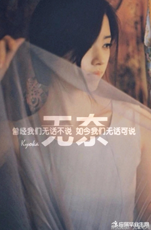 最全的《宿命》小说句子大全