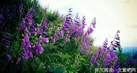 最经典的《思凡》佳句摘抄大全