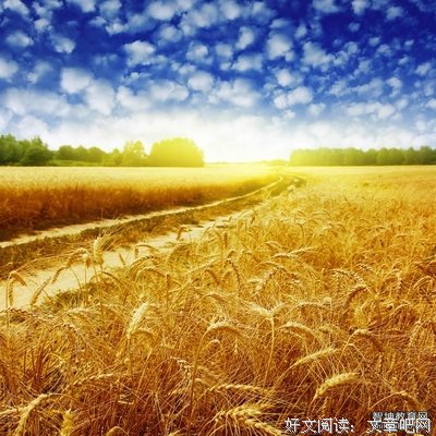 最新的《战骨》小说句子