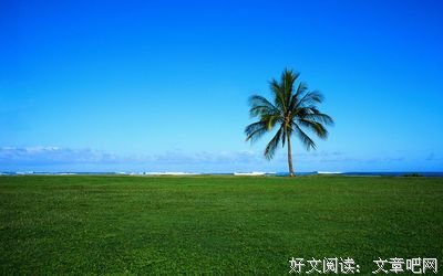 《暗恋》经典的句子