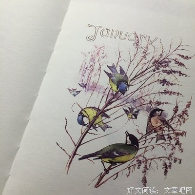 最新的《着魔》小说摘抄大全