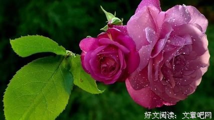 关于委屈的唯美语录