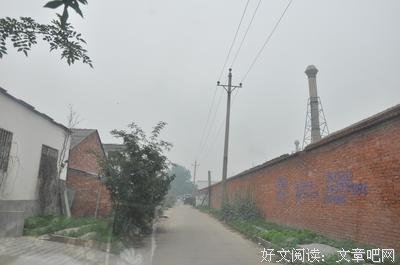 听之任之的语句摘抄_关于听之任之的语句