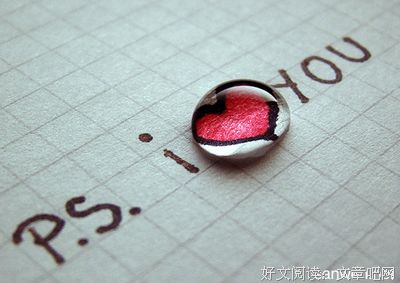 关于爱，不仅仅是供养的优美句子