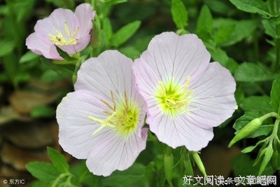 最好的我们经典的句子