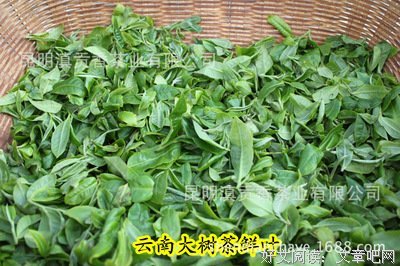 昔归经典名句