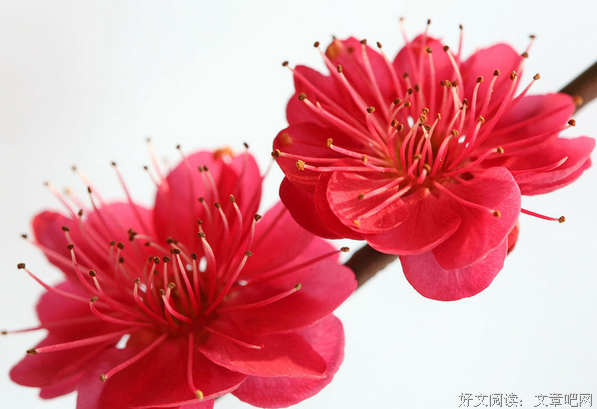 关于遥叫上十的叫上十然个的句子