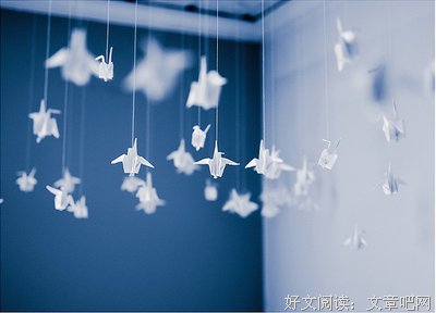 夏茗悠精彩语录