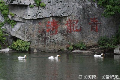 最全的《风云》小说句子