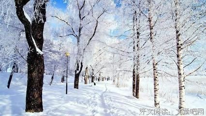 《千堆雪》小说句子