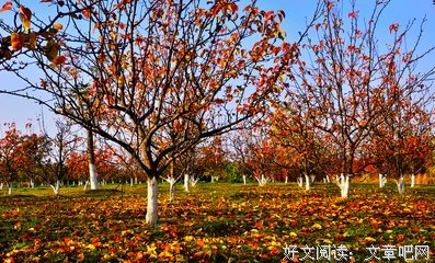 李俊芳：冬日随想