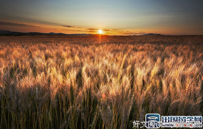 最新的《守望者》经典语句