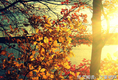 最全的《惶然录》经典句子