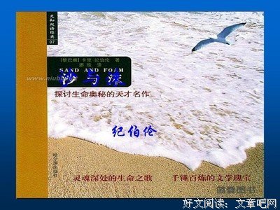 《沙与沫》经典语句