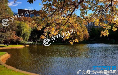 最新的《浣溪沙》经典句子大全