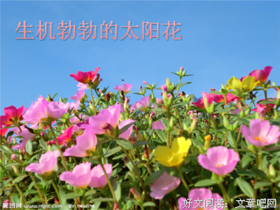 太阳的不种裔句子大全