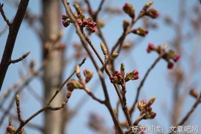 和春天对话