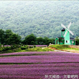 最经典的杨熹文名言
