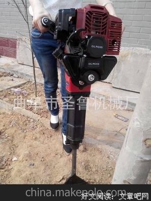 桔子树的名言