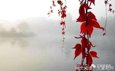 最经典的庄心妍经典名句