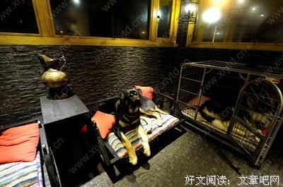 关于张寒寺的名句