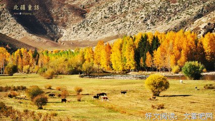 最经典的《红与黑》经典名句