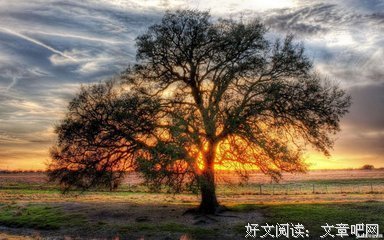 最新的《红楼梦》小说句子
