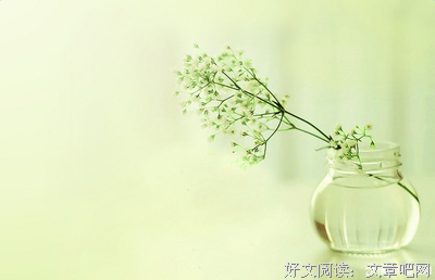 最全的《红玫瑰》经典的句子大全