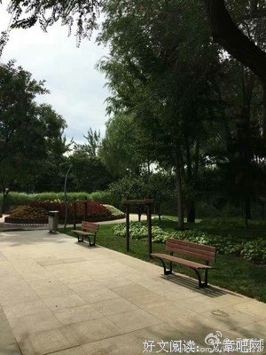 《静思语》经典的句子大全