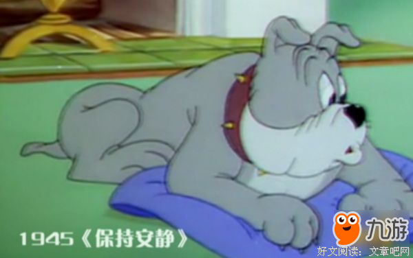 抖音最火狗狗猫猫：真爱就是再怎么生气，也舍不得真的用力气打