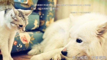 最经典的《全职猎人》经典名句