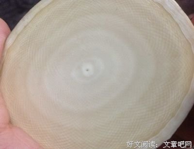 最全的《兴趣部落》好段摘抄大全