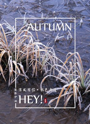 最全的《凉风有信》经典的句子