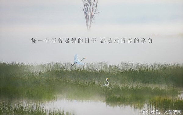 关于纤细的唯美语录