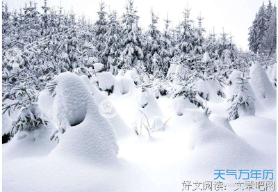 15条关于画龙点睛的经典语句
