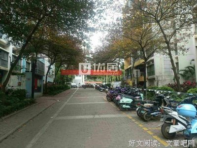 15条关于碧涛的经典语句