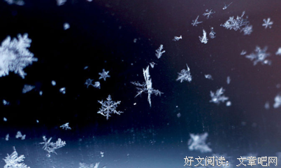 有关微雨的句子