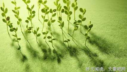 青慕句子大全