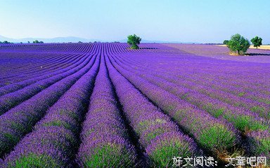 江南优美的句子