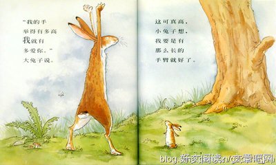猜猜我有多爱你经典的句子