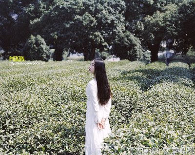 谢楼南的名句