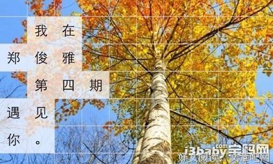 最全的郑俊雅的名句