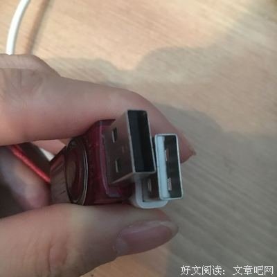 蓝小邪的名言