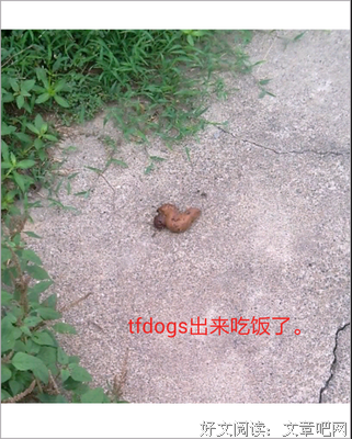 最经典的《善待命运》名句欣赏大全